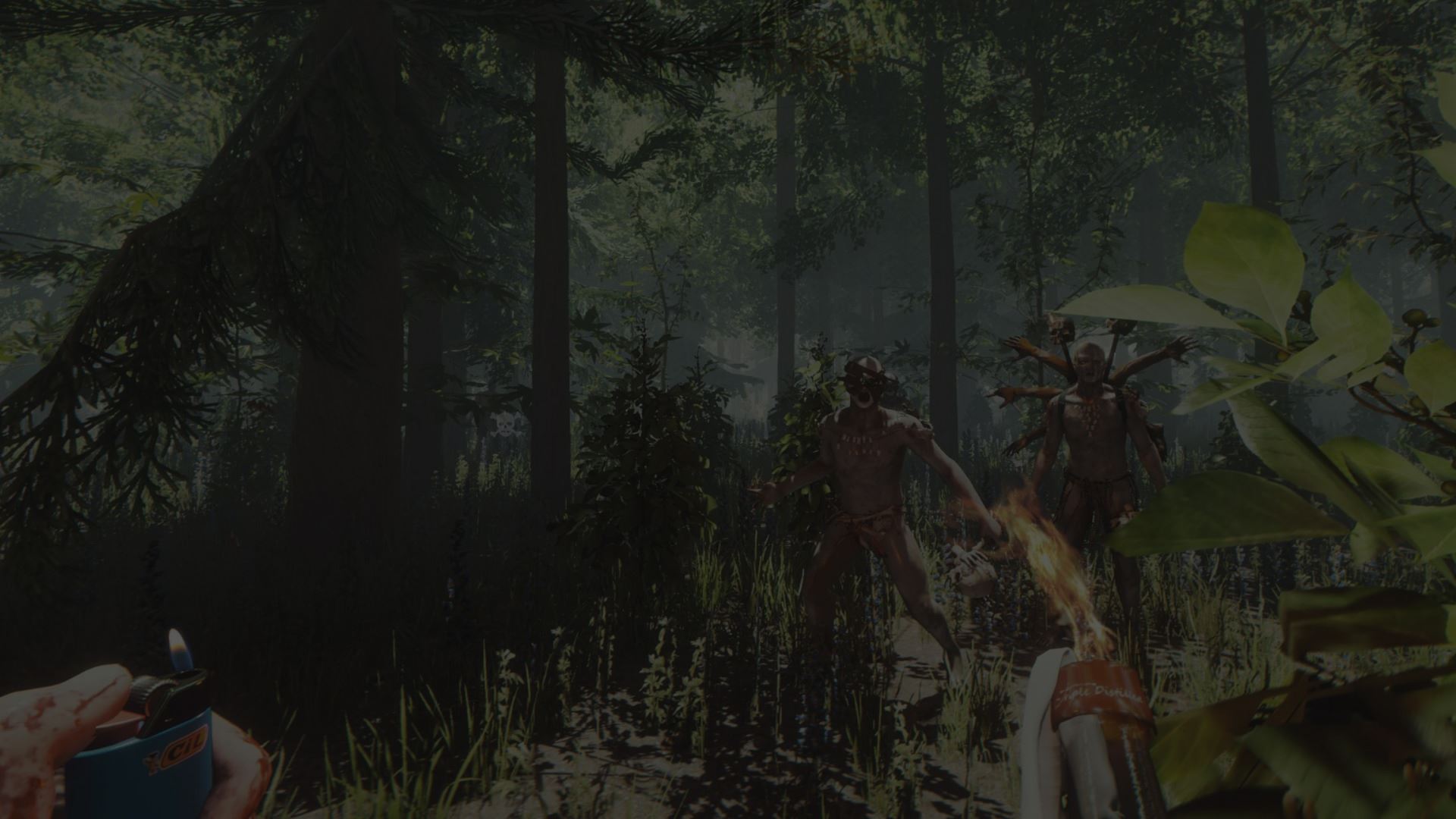 The Forest Background