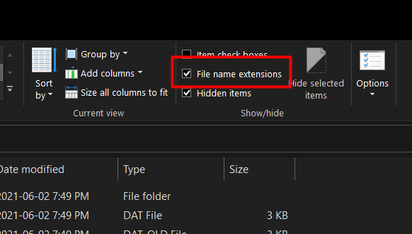 File Name Extensions