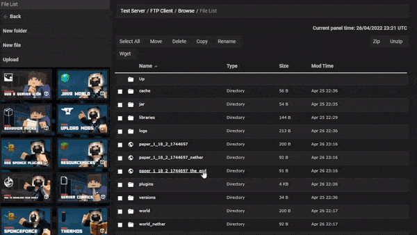 FTP Panel Plugin Upload