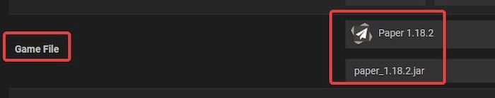The Game File on the server's control panel.