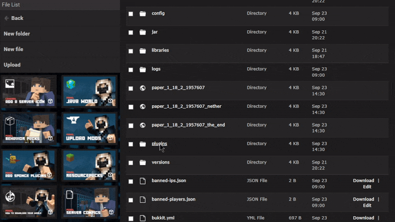 Custom Images Minecraft Server Installation