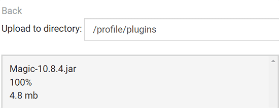 Magic Plugin Upload 100%