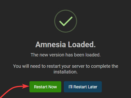 Amnesia Loaded on Server