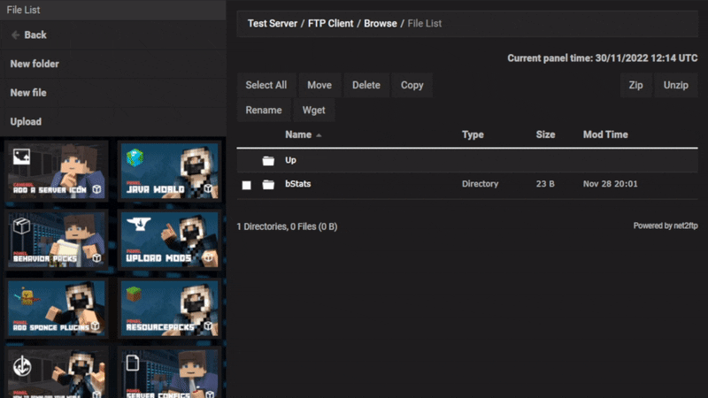 MeteoritesPro Server Installation