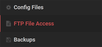 Server Version FTP File Access