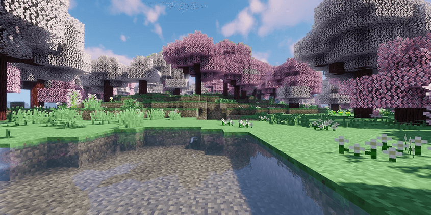 cherry blossom grove