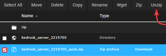 Unzip Bedrock World