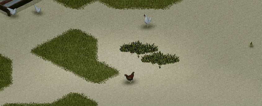 project-zomboid-chickens
