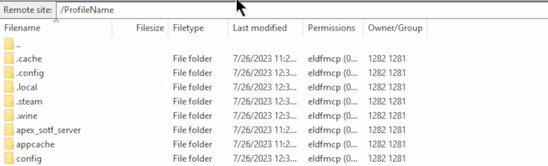 SOTF Dedicated Server Multiplayer Folder