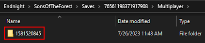 Sons Of The Forest Multiplayer FOlder