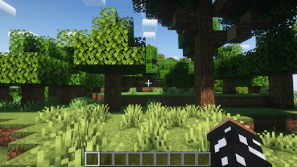 Normal FOV Minecraft