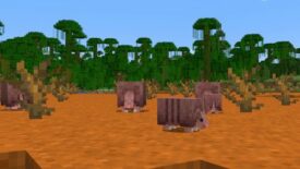 Minecraft 1.20.5 Armadillo