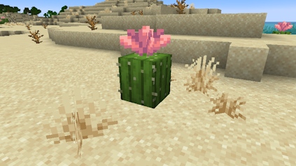 Minecraft cactus flower