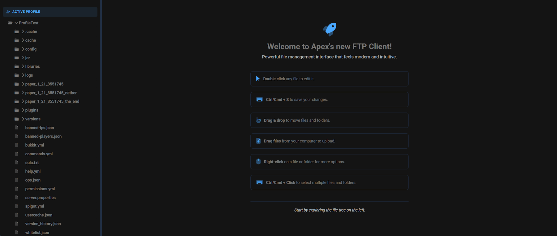 Apex Hosting FTP File Access Panel 2025