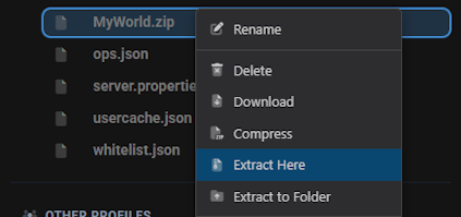 Java World Upload Unzip