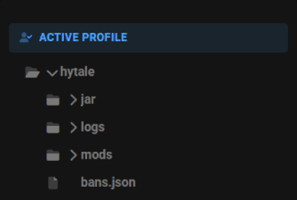 Hytale Singleplayer World Data Transfer